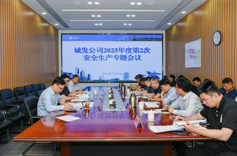 城發(fā)公司召開2025年度第2次安全生產專題會議